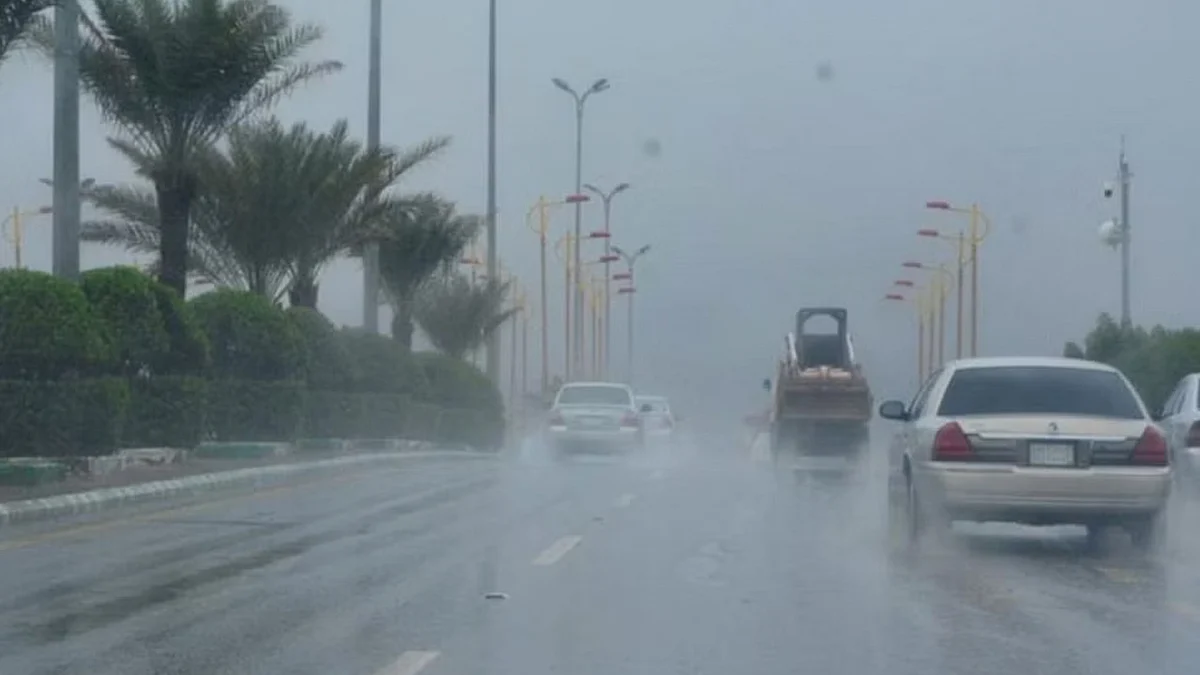 هطول أمطار – أرشيفية