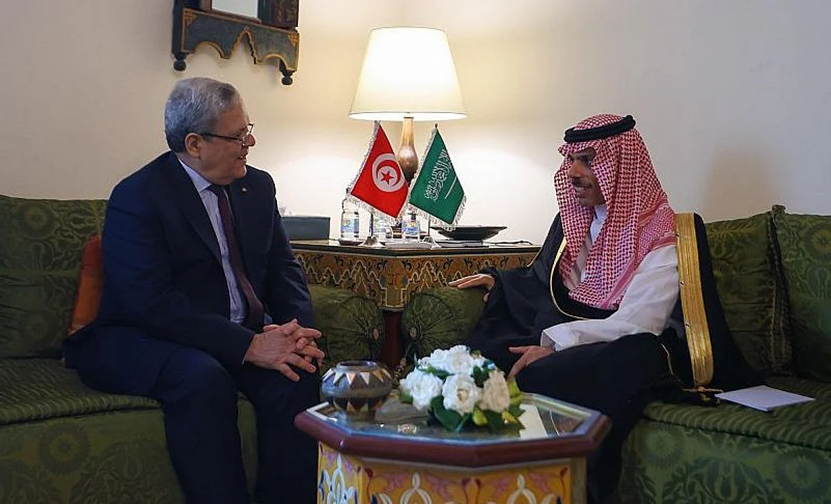 وزير الخارجية ونظيره التونسي