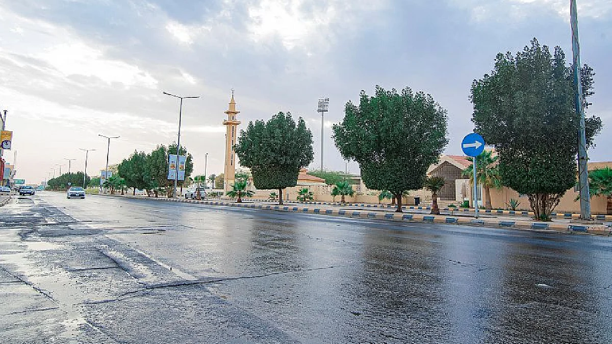 سحب رعدية ممطرة على عدة مناطق
