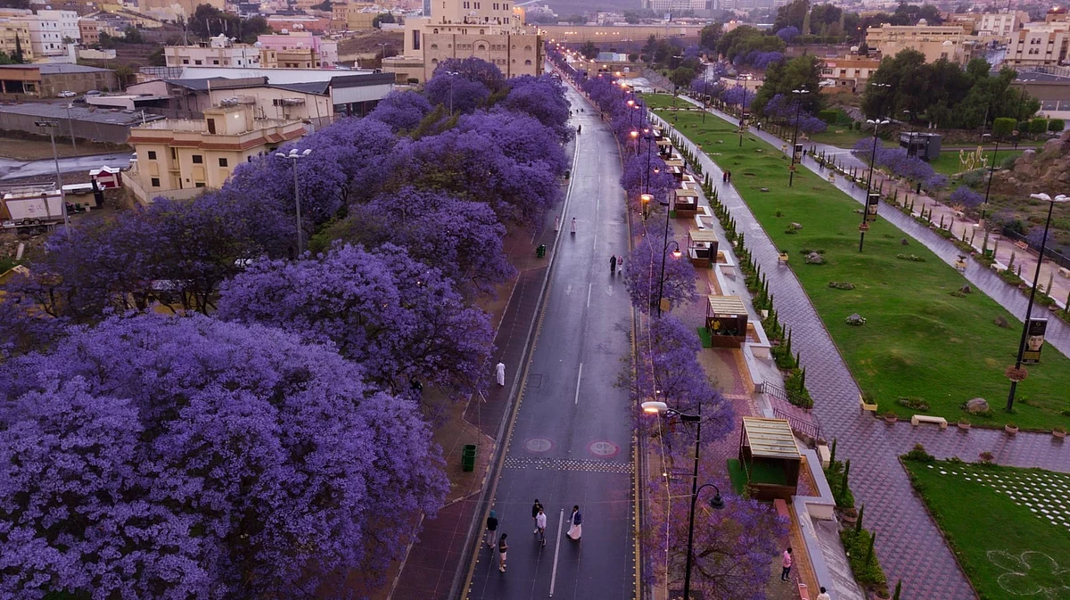 أبها تسجل أدنى درجة حرارة
