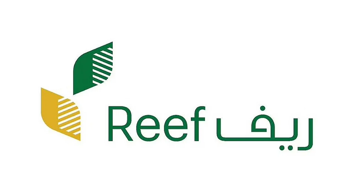 برنامج ريف