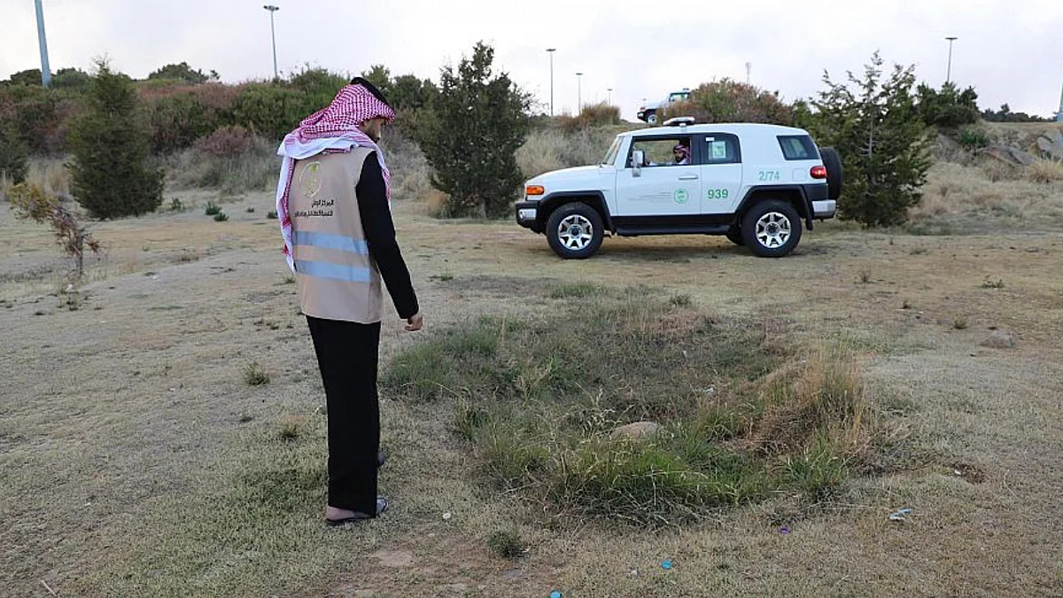 المركز الوطني لتنمية الغطاء النباتي