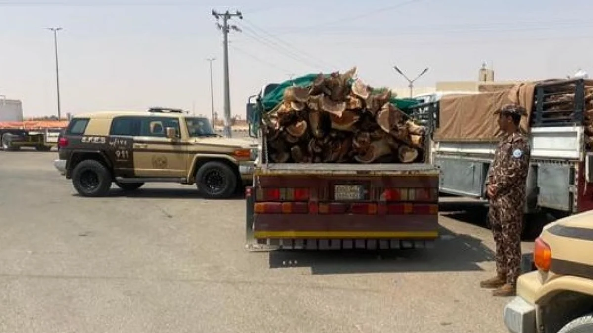 القوات الخاصة للأمن البيئي