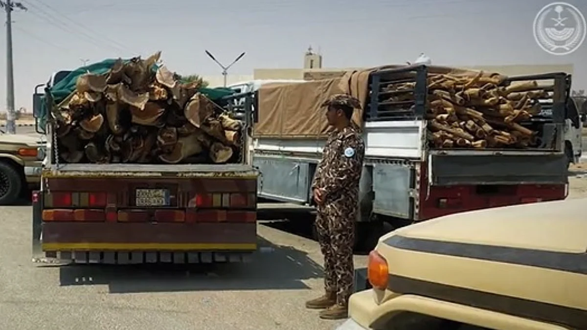 ضبط مخالفين لنظام البيئة