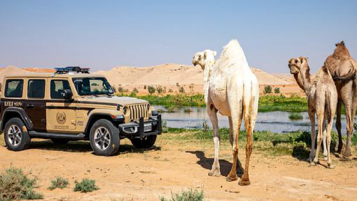 ضبط 11 مخالفًا لنظام البيئة