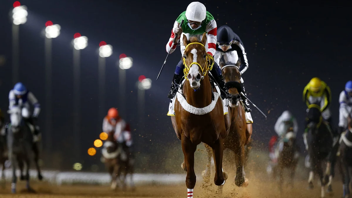 سباقات الخيل