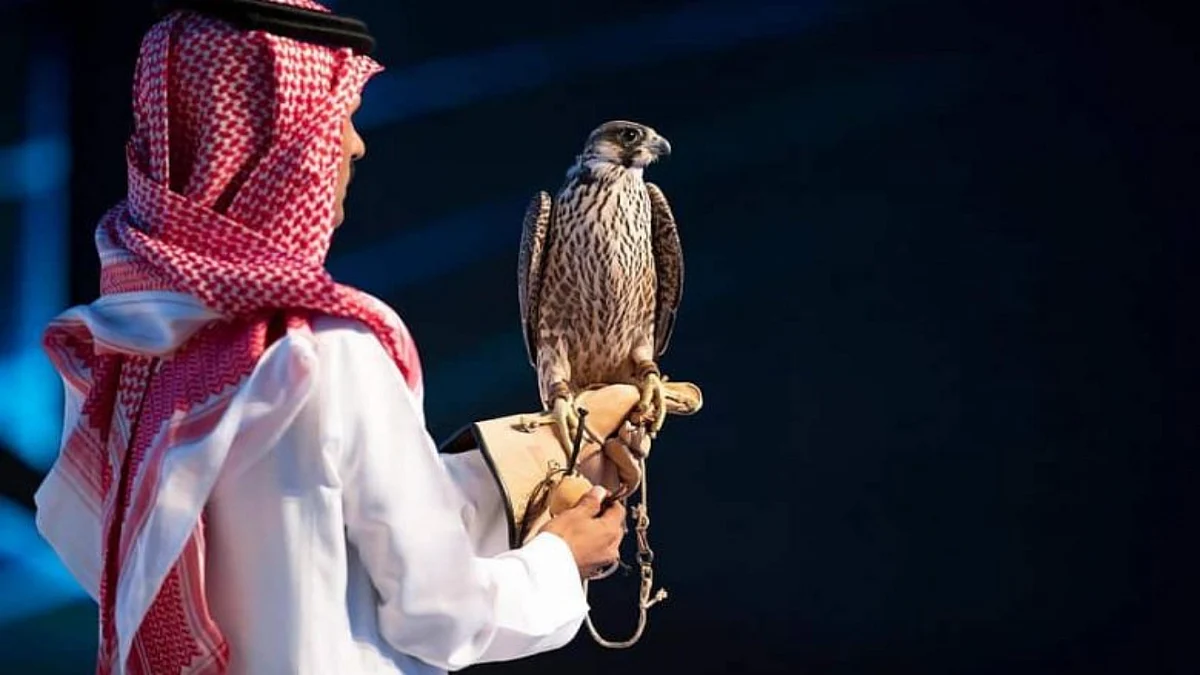 نادي الصقور