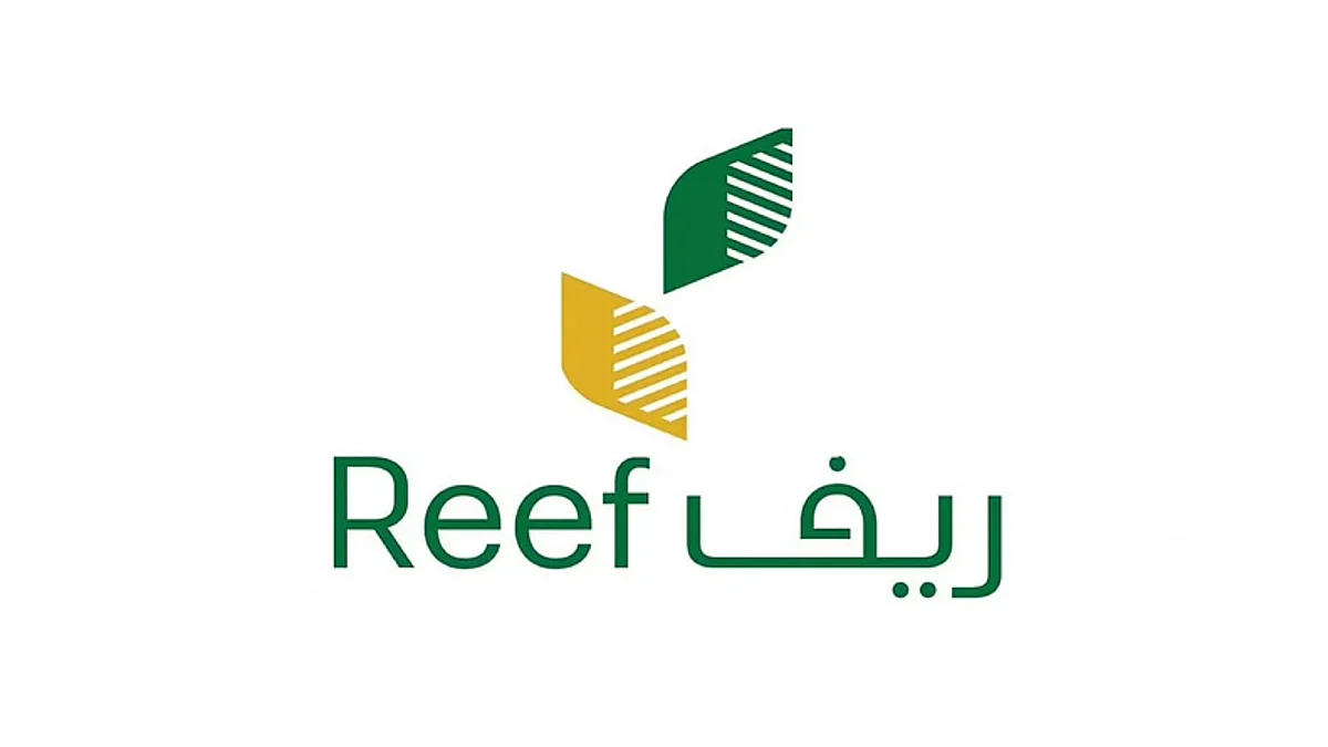 برنامج ريف