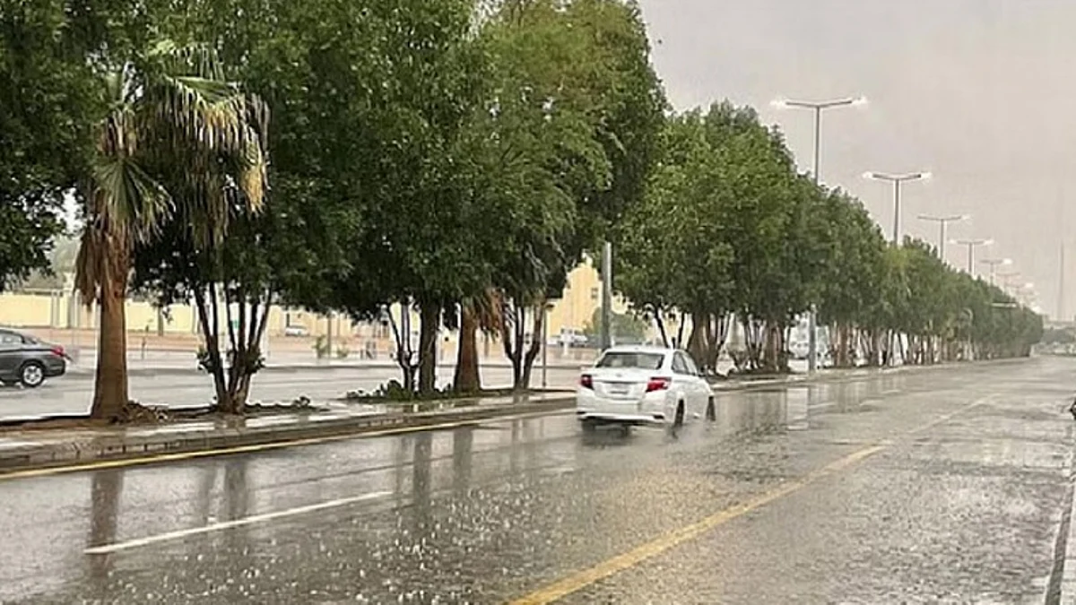هطول أمطار - أرشيفية