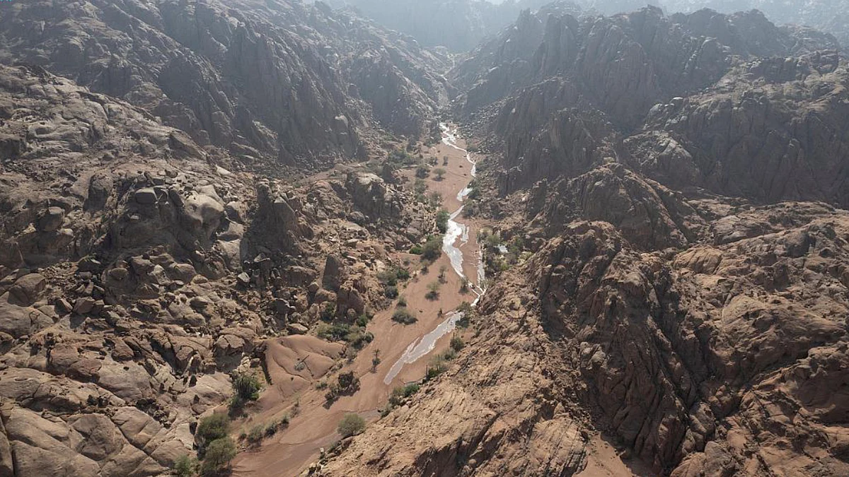 محمية الملك سلمان