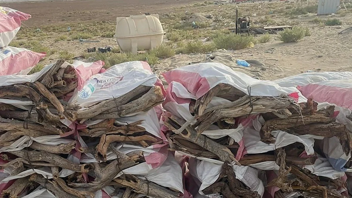 بالصور.. "مكافحة التصحر" يستعيد كميات من الحطب والفحم المحلي بالشرقية