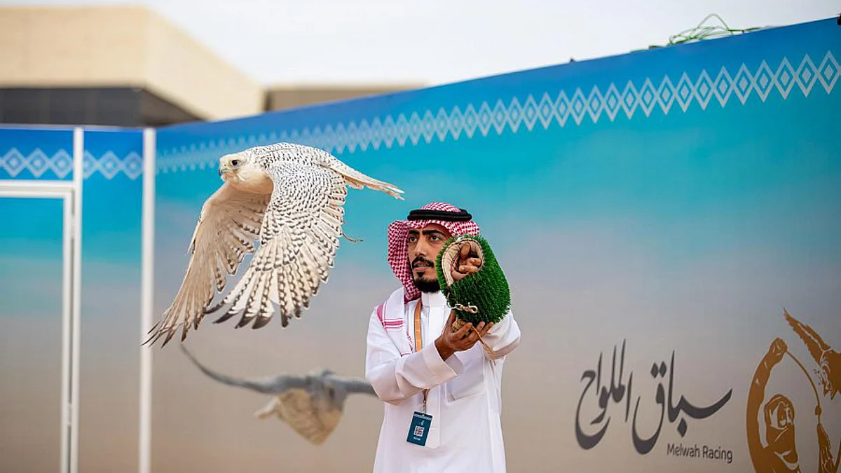 نادي الصقور