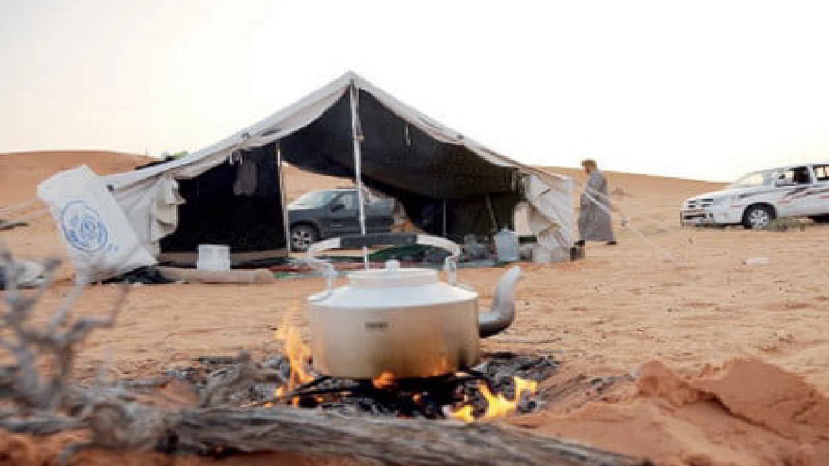 الرحلات البرية