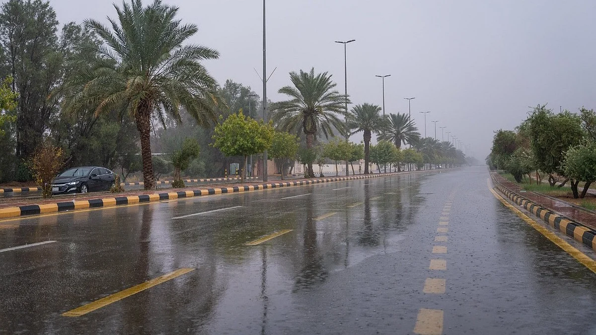 أمطار - أرشيفية