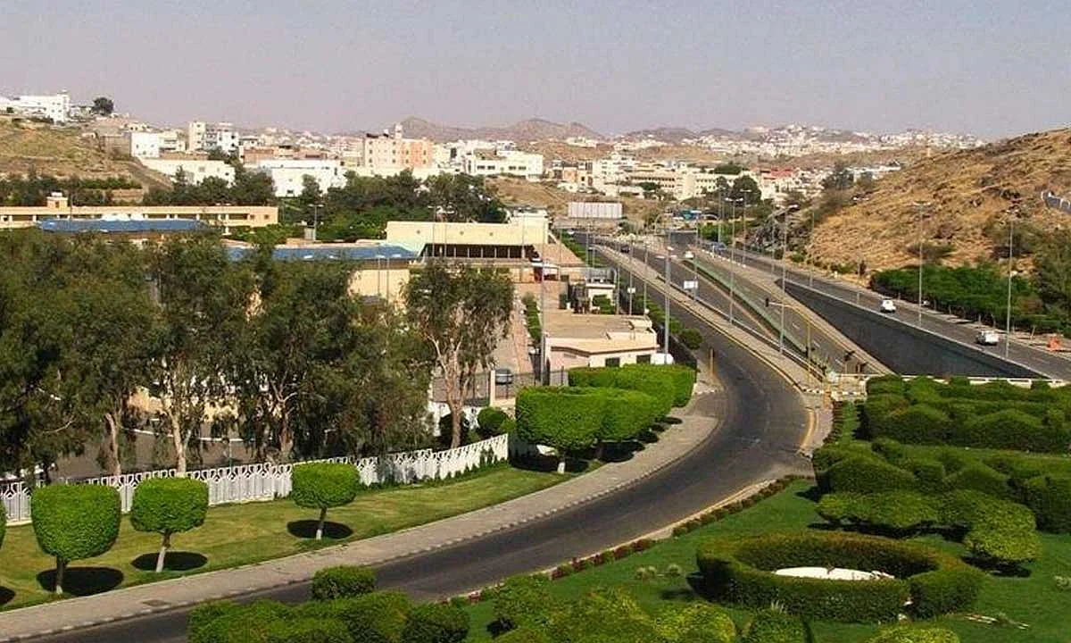 جمعية الطائف الخضراء: غرس 10 آلاف شجرة في حملات «السعودية الخضراء»
