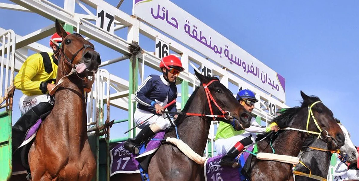 ميدان الفروسية بمنطقة حائل
