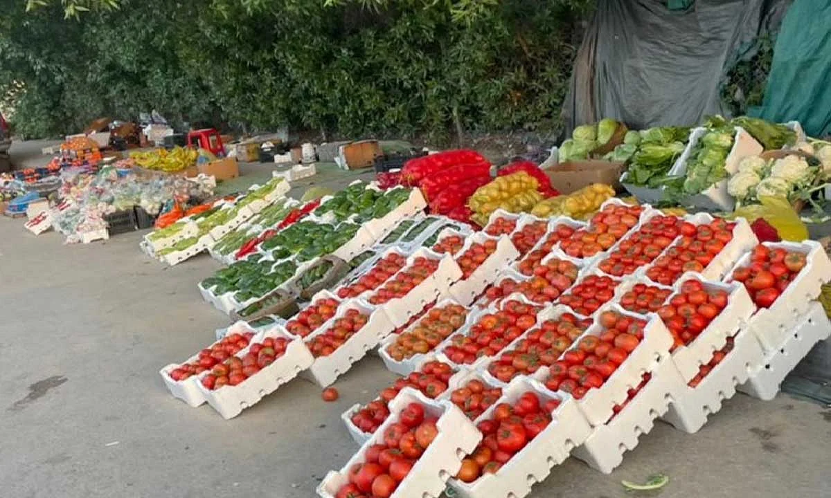 مصادرة 3 أطنان من الخضراوات بالدمام