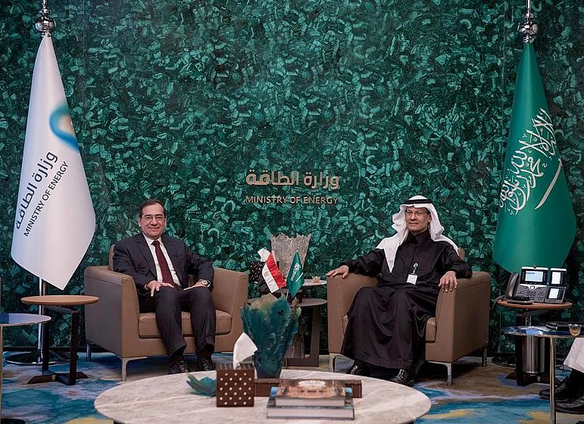 جانب من لقاء وزير الطاقة
