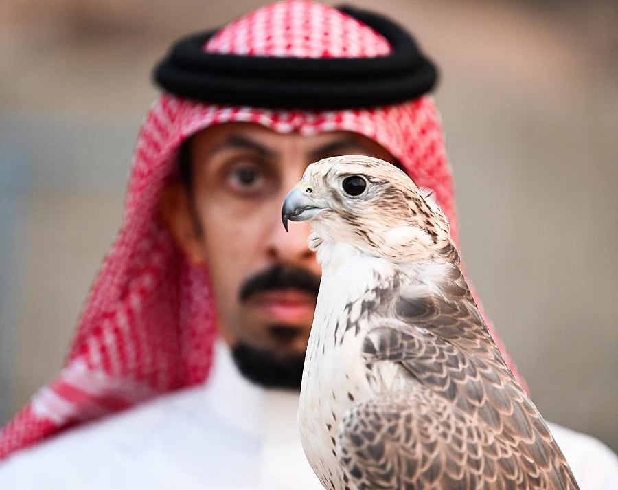 أحد الصقارة