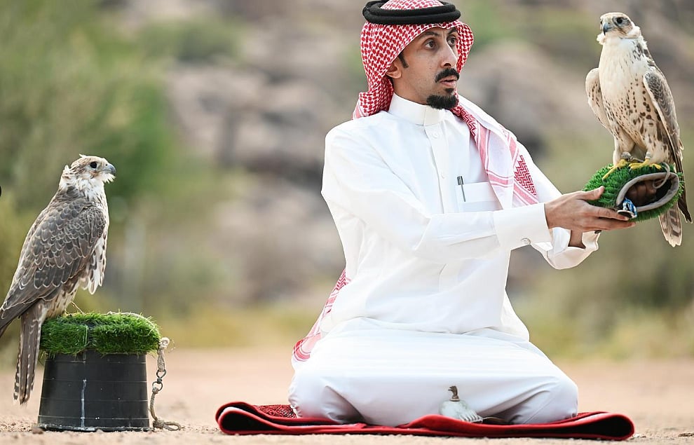 أحد الصقارة مع الصقور 