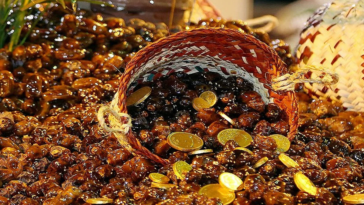 موسم تمور الأحساء يحقق مبيعات تتجاوز 3.5 مليون ريال خلال أسبوعين