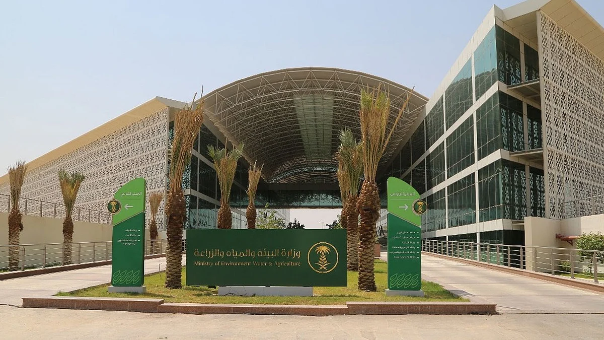 الدعم الحكومي الريفي للعاطلين.. شروط وآلية التسجيل