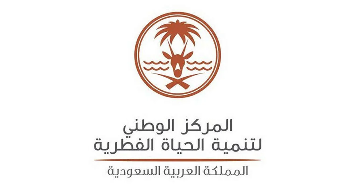 4 أنواع من الطيور مسموح بصيدها في المملكة.. ما هي؟