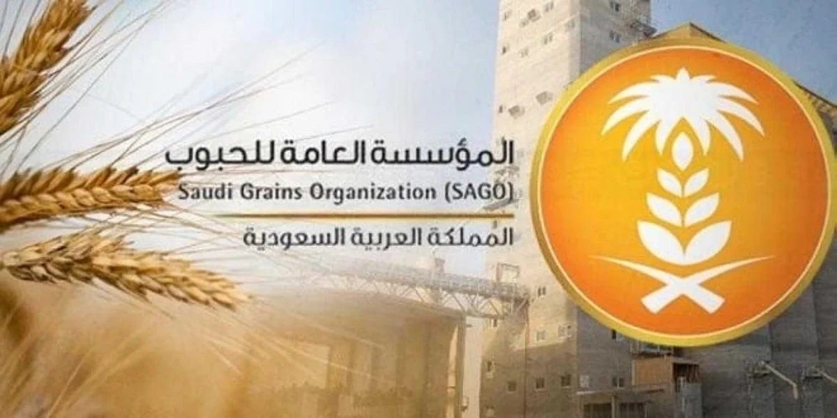 مؤسسة الحبوب تودع مستحقات الدفعة الـ12 لمزارعي القمح المحلي: أكثر من 15 مليون ريال