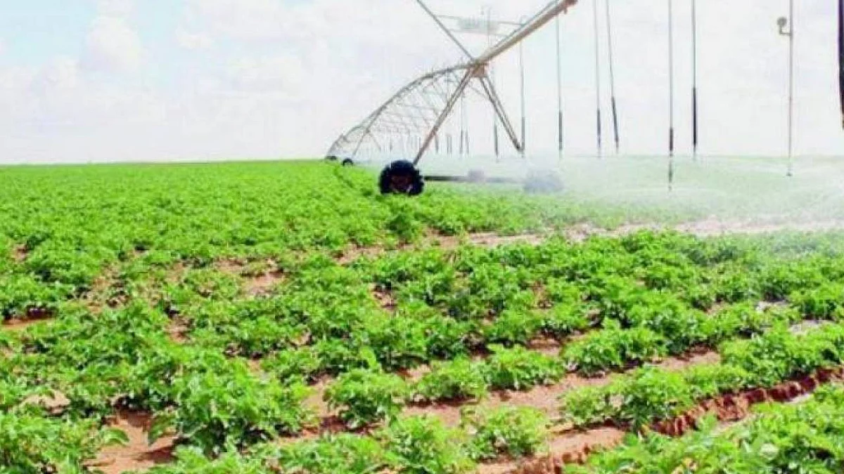 هل يمكن إلغاء طلب الدعم في برنامج التنمية الريفية المستدامة؟ «ريف» يُجيب