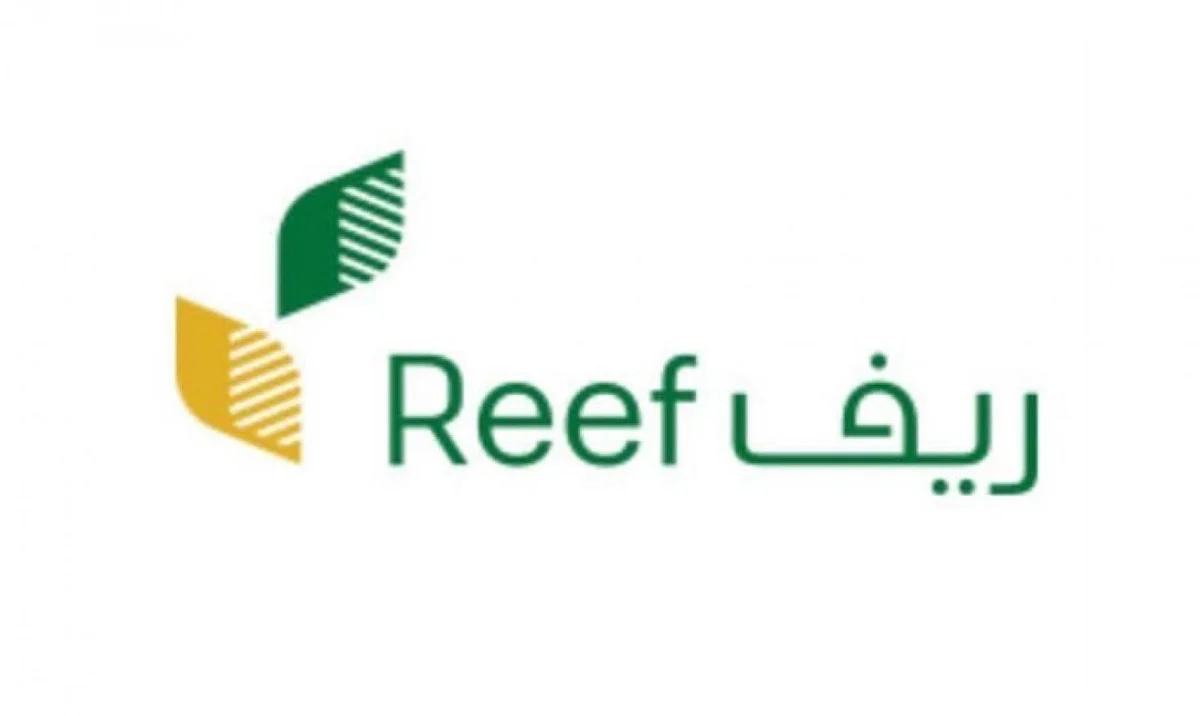 هل يؤثر التأهيل الشامل أو الضمان الاجتماعي على دعم «ريف» ؟.. البرنامج يوضّح