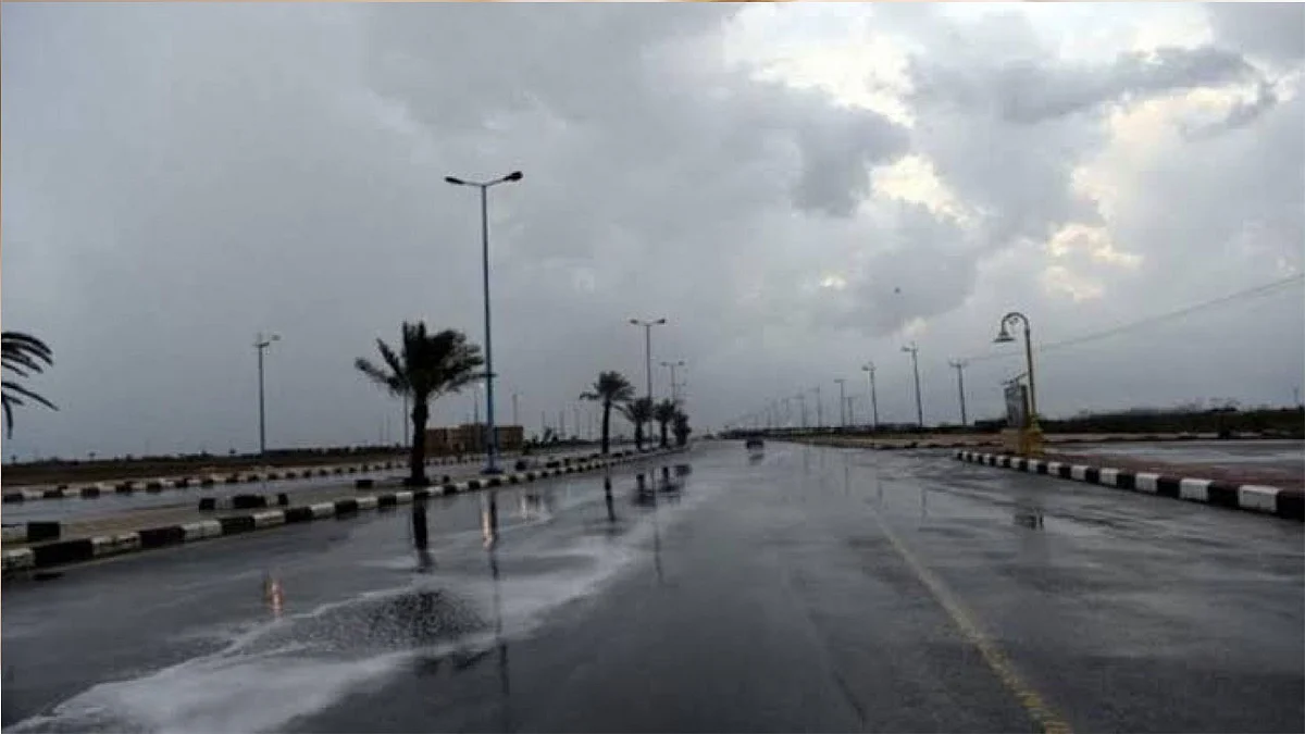 طقس المملكة اليوم.. أمطار على المناطق الشمالية وأجواء ضبابية بالشرقية