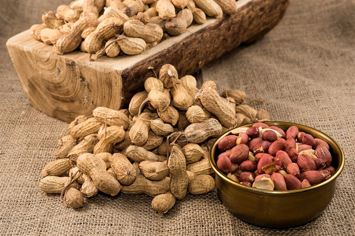 منها سرطان الكبد.. 3 آثار جانبية خفية لتناول الفول السوداني