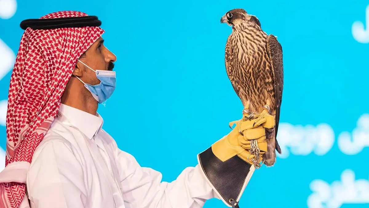 الليلة الـ17 لمزاد نادي الصقور الثاني.. الحصيلة تتجاوز 4.5 مليون ريال