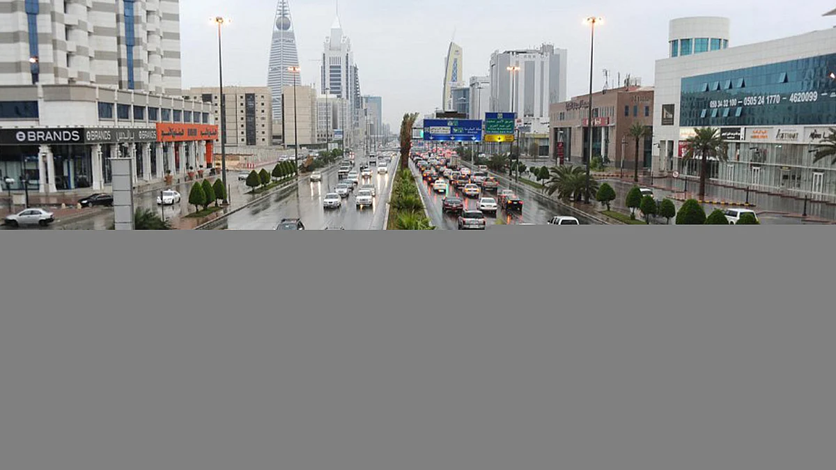 الحصيني: بدء أول حالات الوسم على عدة مناطق.. غدًا الثلاثاء