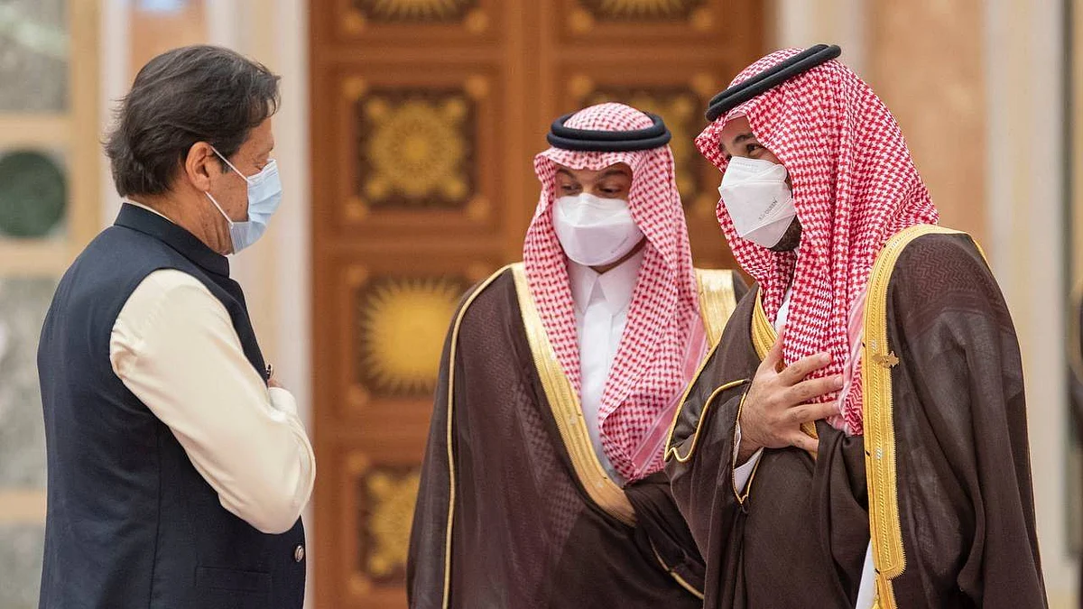بالفيديو.. ولي العهد ورئيس وزراء باكستان يستعرضان جهود خفض الانبعاثات والحفاظ على البيئة