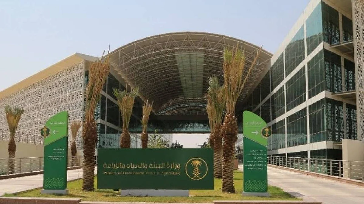 ضمن مبادرة الشرق الأوسط الأخضر.. «البيئة» تطلق 4 مبادرات لمكافحة التغير المناخي