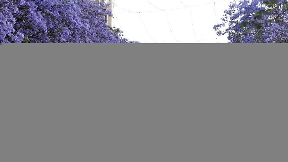 تنبيهات الأرصاد: أمطار وسحب رعدية وأتربة على 7 مناطق بالمملكة.. الثلاثاء