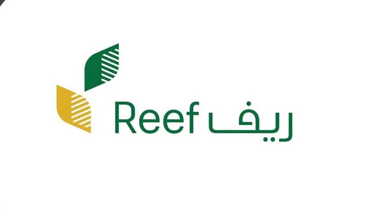 هل يمكن التعديل على الجدولة ودراسة حالة الطلب من جديد في ريف؟ البرنامج يوضح