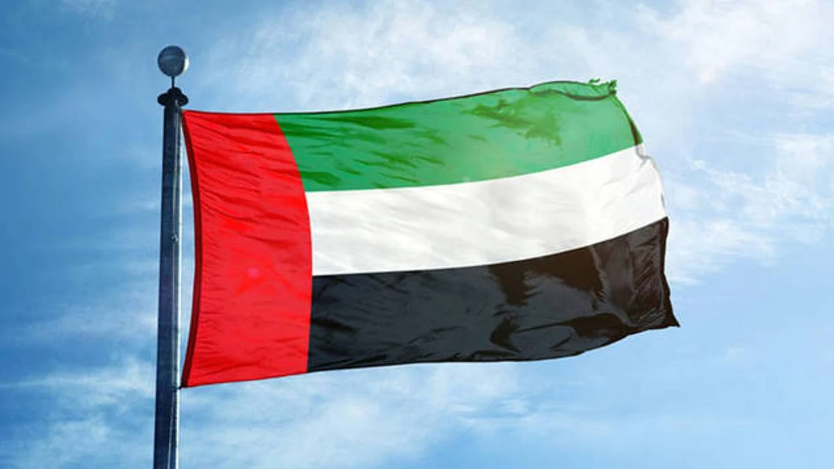 الإمارات تسحب دبلوماسييها من لبنان.. وتؤكد: نهج مسؤوليه تجاه السعودية مرفوض