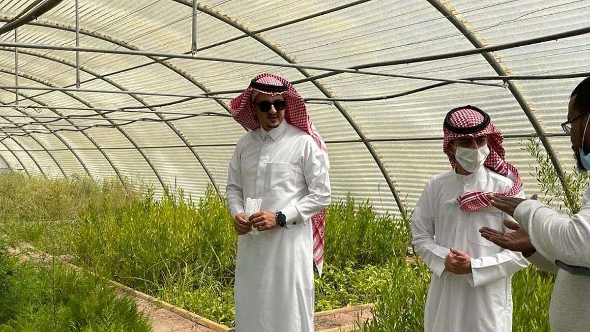 بعد تكريم أمير المنطقة.. أمانة الباحة تستلم شتلات «الجاكرندا» من أصيل الغامدي لزراعتها بالشوارع
