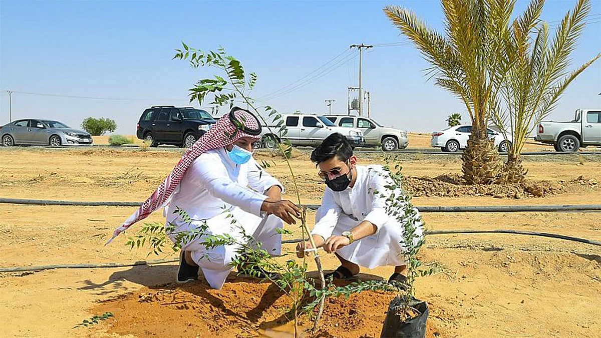 لنجعلها خضراء