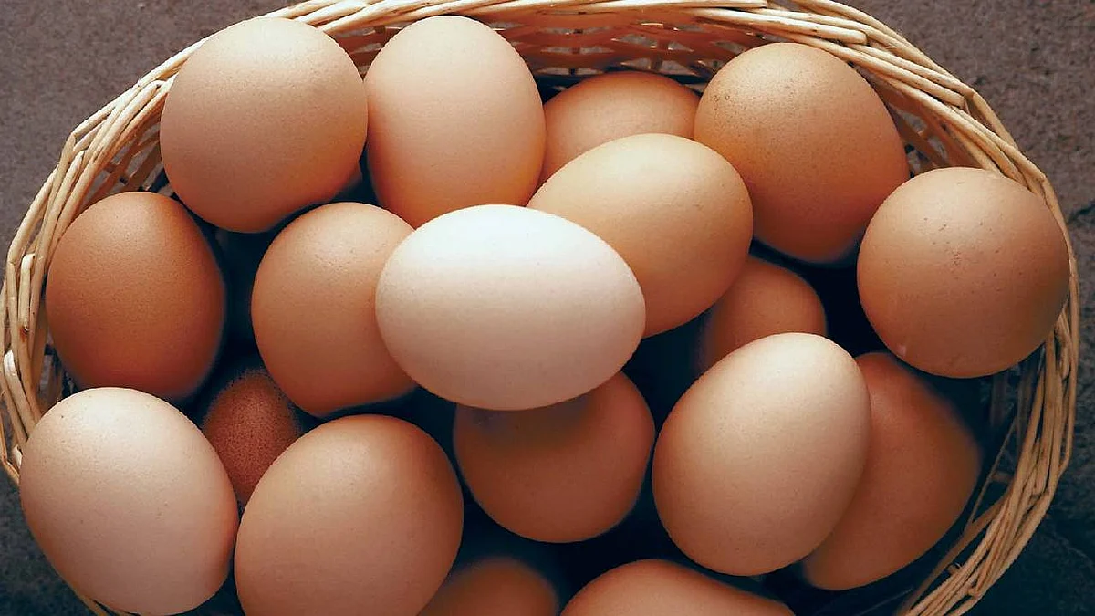 تسبب مشاكل صحية.. أطعمة يجب الابتعاد عنها خلال عروض التخفيضات