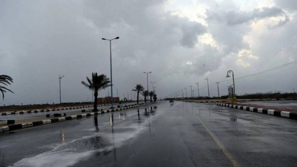 يبدأ غدًا.. المرصد الفلكي يوضح خصائص منزلة «الغفر» على المناخ والنبات