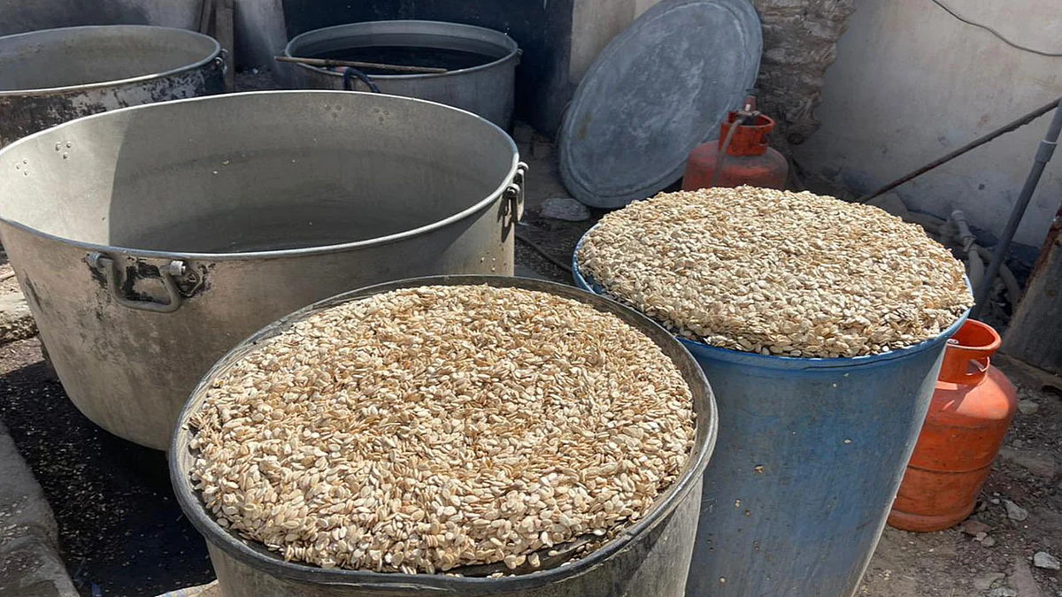 بالصور.. ضبط مكسرات غير صالحة بمزرعة في الهفوف