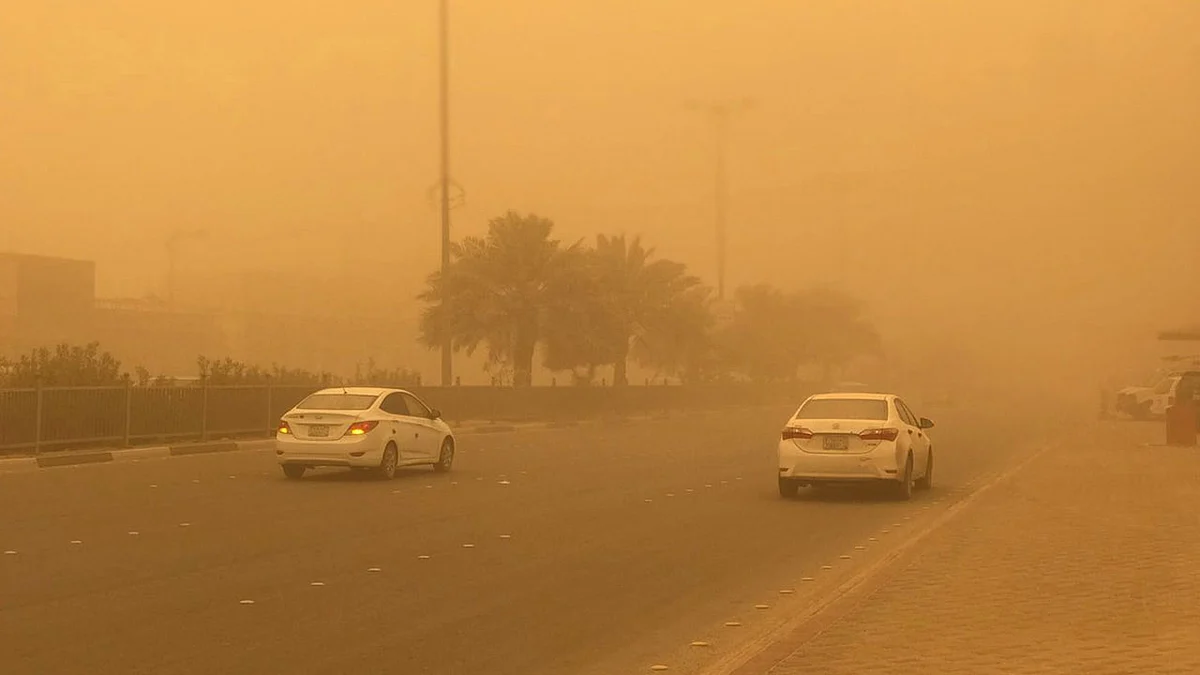 «الأرصاد» عن طقس الأربعاء: أمطار وضباب على بعض المناطق.. وهنا تنخفض الحرارة