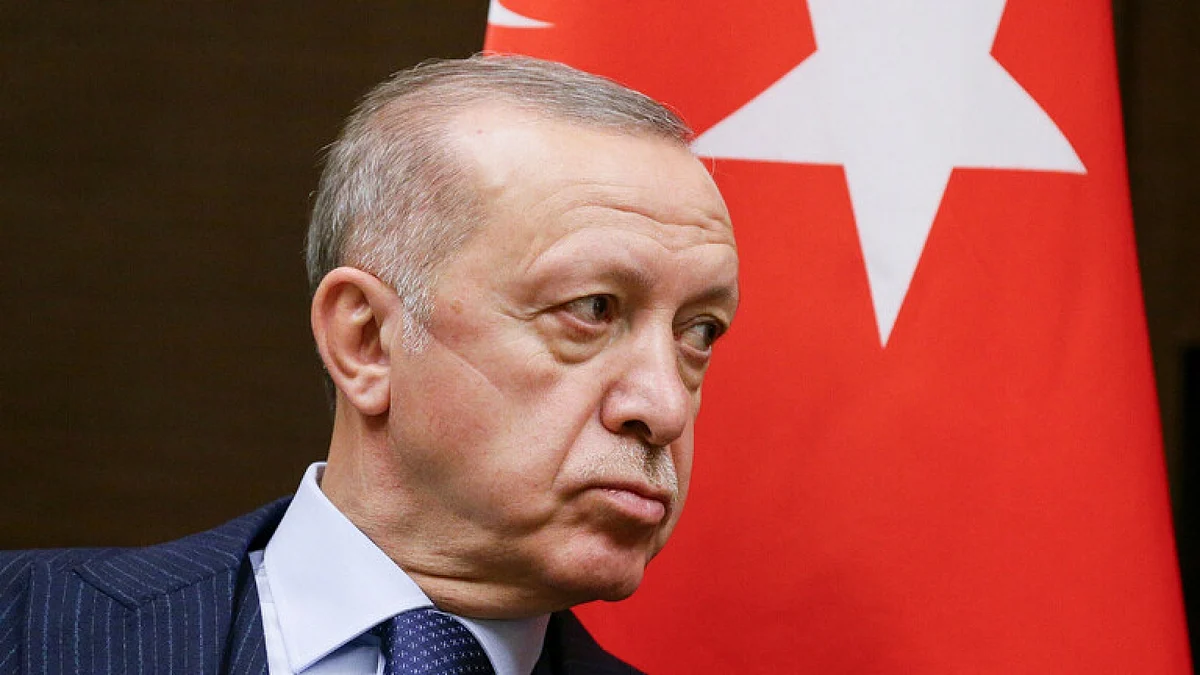 «وول ستريت جورنال»: انهيار الليرة التركية ينذر بنهاية أردوغان