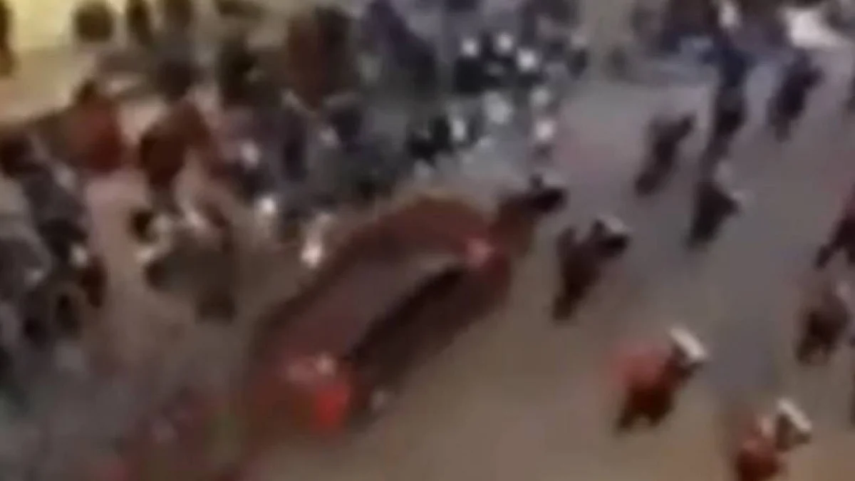 فيديو يوثق لحظة دهس سيارة لمشاركين بمسيرة عيد الميلاد في ويسكونسن الأمريكية