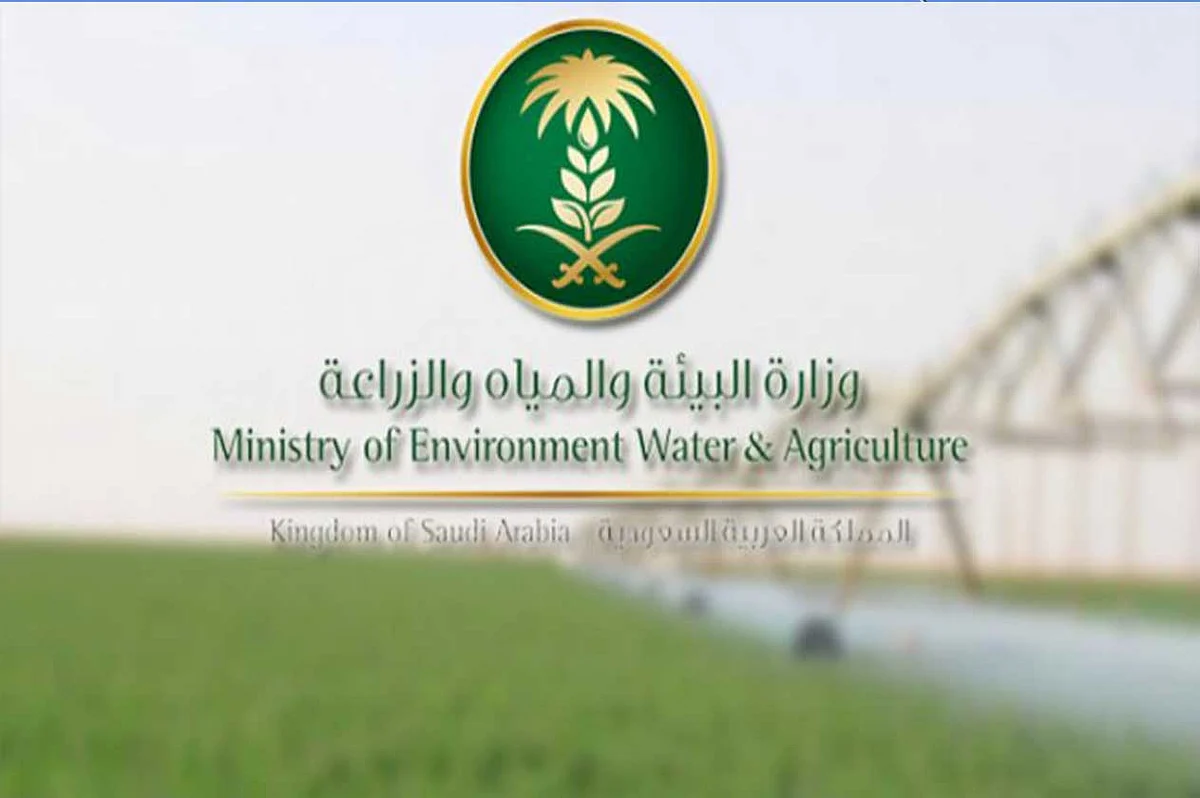 انطلاق فعاليات مهرجان منتجات الورد الطائفي والعسل البلدي غدًا