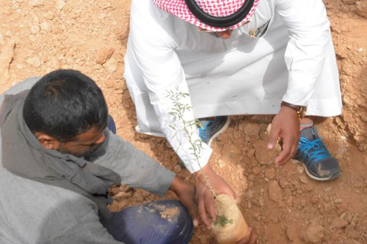  بالصور.. أيتام الرياض يزرعون 40 شتلة في منتزه حريملاء