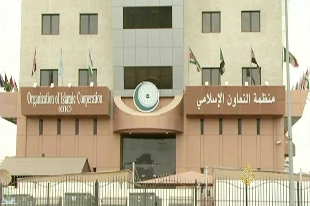 «الخارجية» تعلن توفر وظيفة شاغرة براتب 17 ألف ريال